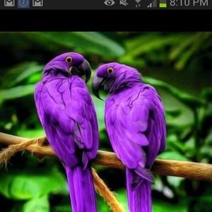 Meet your Posher, Elena